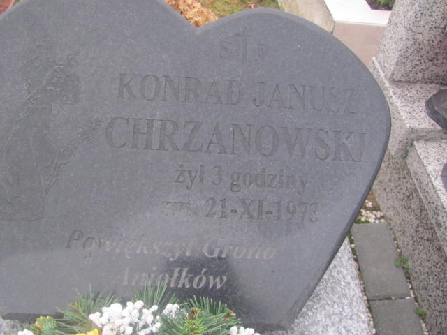 Konrad Janusz Chrzanowski Ciechanów - Grobonet - Wyszukiwarka osób pochowanych