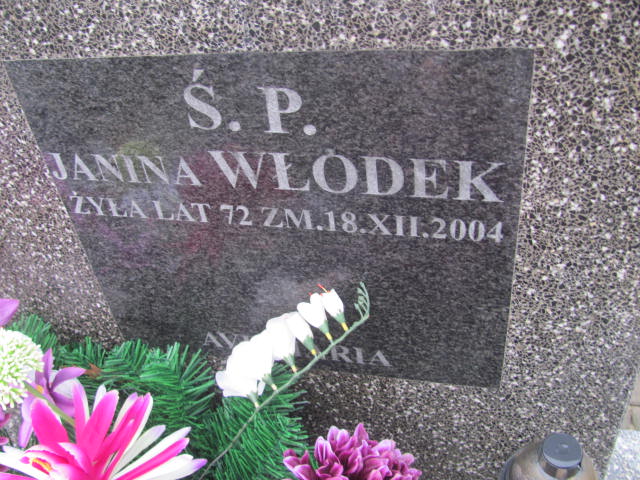 Stanisław Włodek 1929 Ciechanów - Grobonet - Wyszukiwarka osób pochowanych