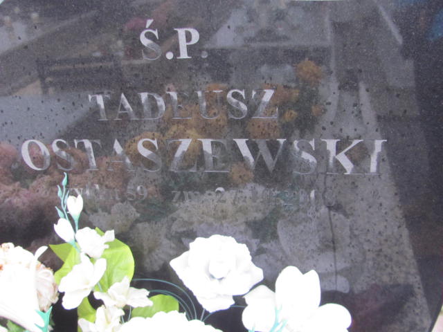 Tadeusz  Lech Ostaszewski 1949 Ciechanów - Grobonet - Wyszukiwarka osób pochowanych
