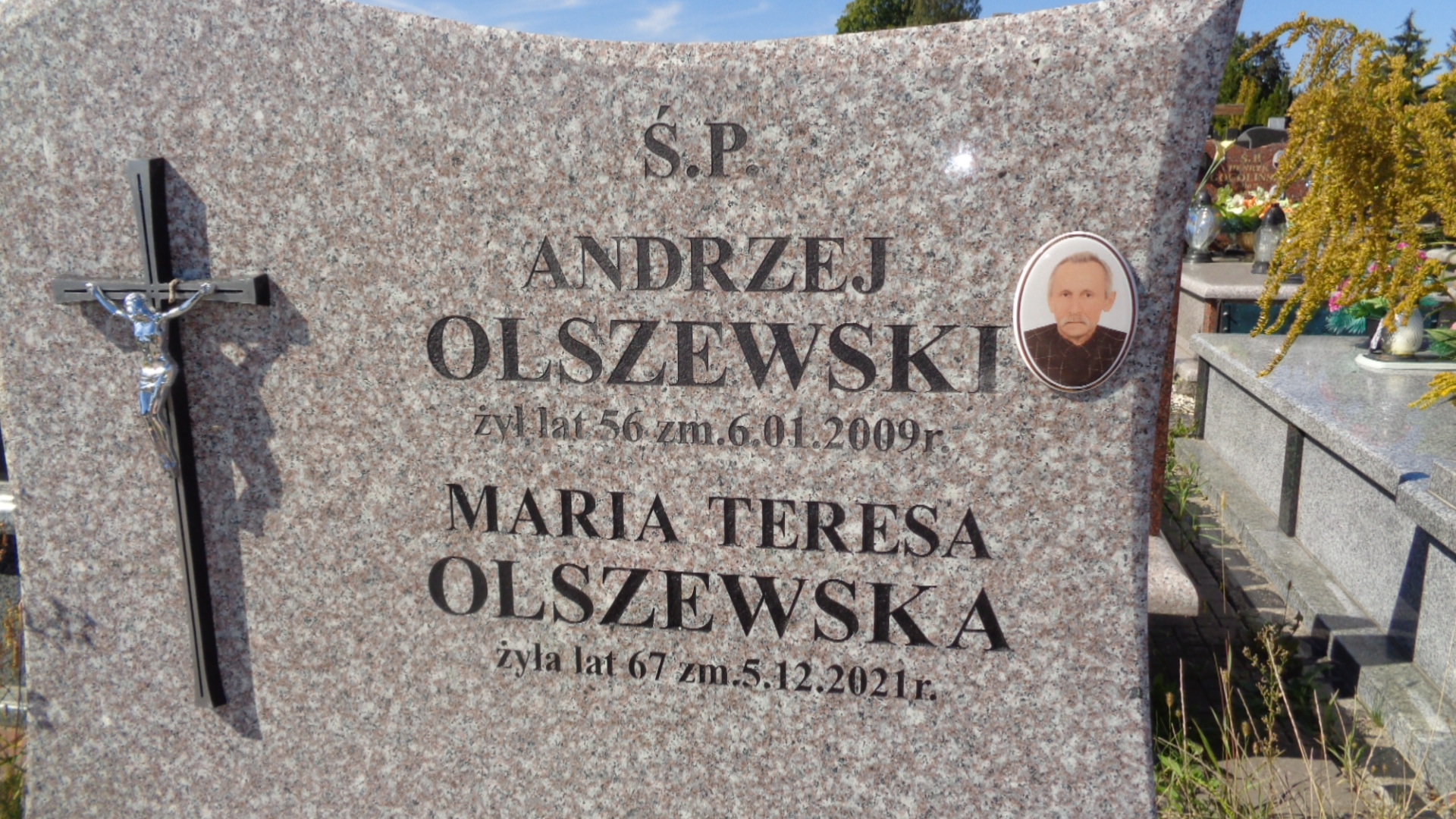 Maria Olszewska 1954 Ciechanów - Grobonet - Wyszukiwarka osób pochowanych