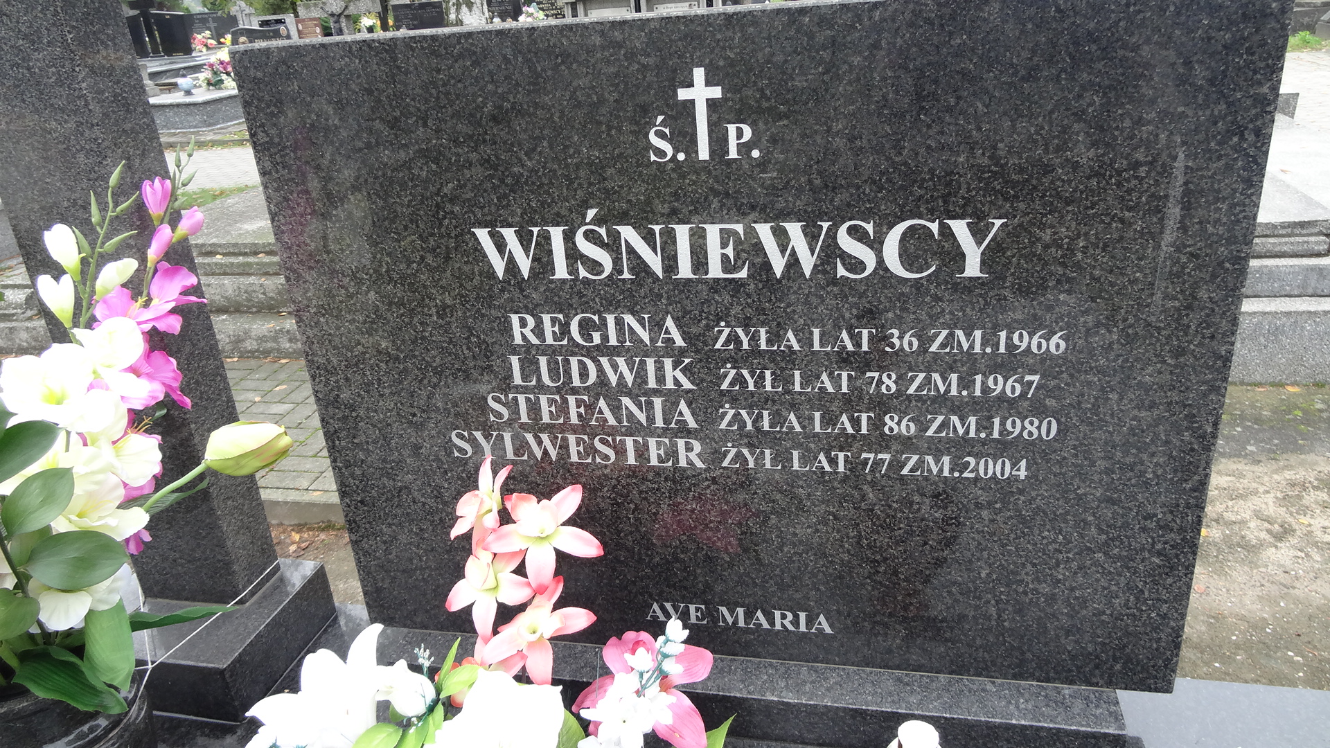 Sylwester Wiśniewski 1926 Ciechanów - Grobonet - Wyszukiwarka osób pochowanych